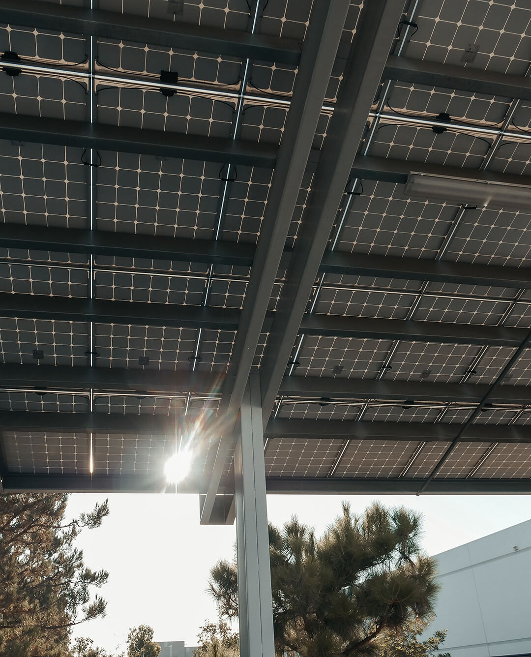 Sun peeking through solar panels